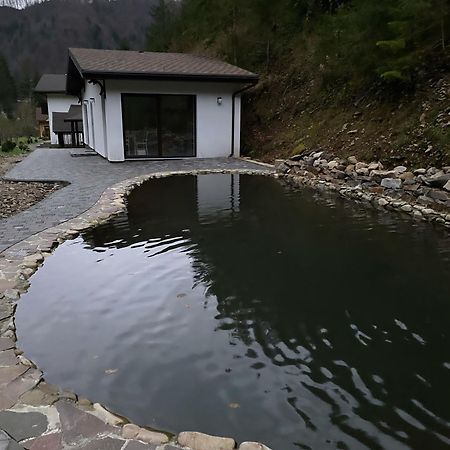 Котедж Грабовець Mizhhirya  Kültér fotó